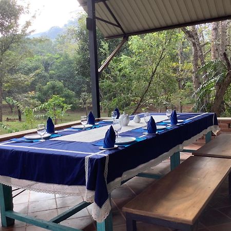 Mind Body And Soul Hotell Dambulla Exteriör bild