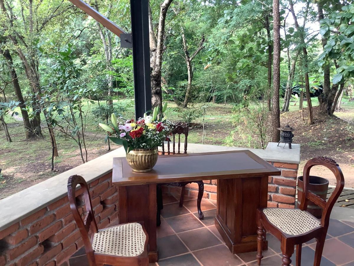 Mind Body And Soul Hotell Dambulla Exteriör bild