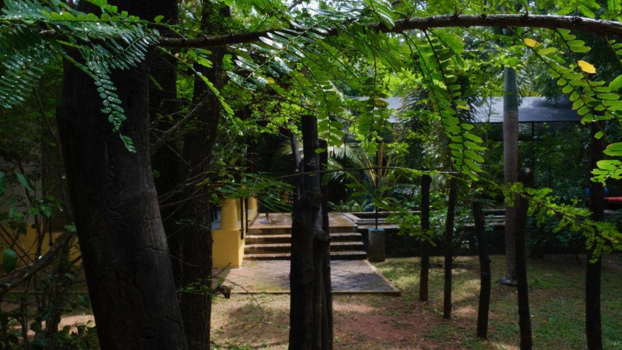 Mind Body And Soul Hotell Dambulla Exteriör bild