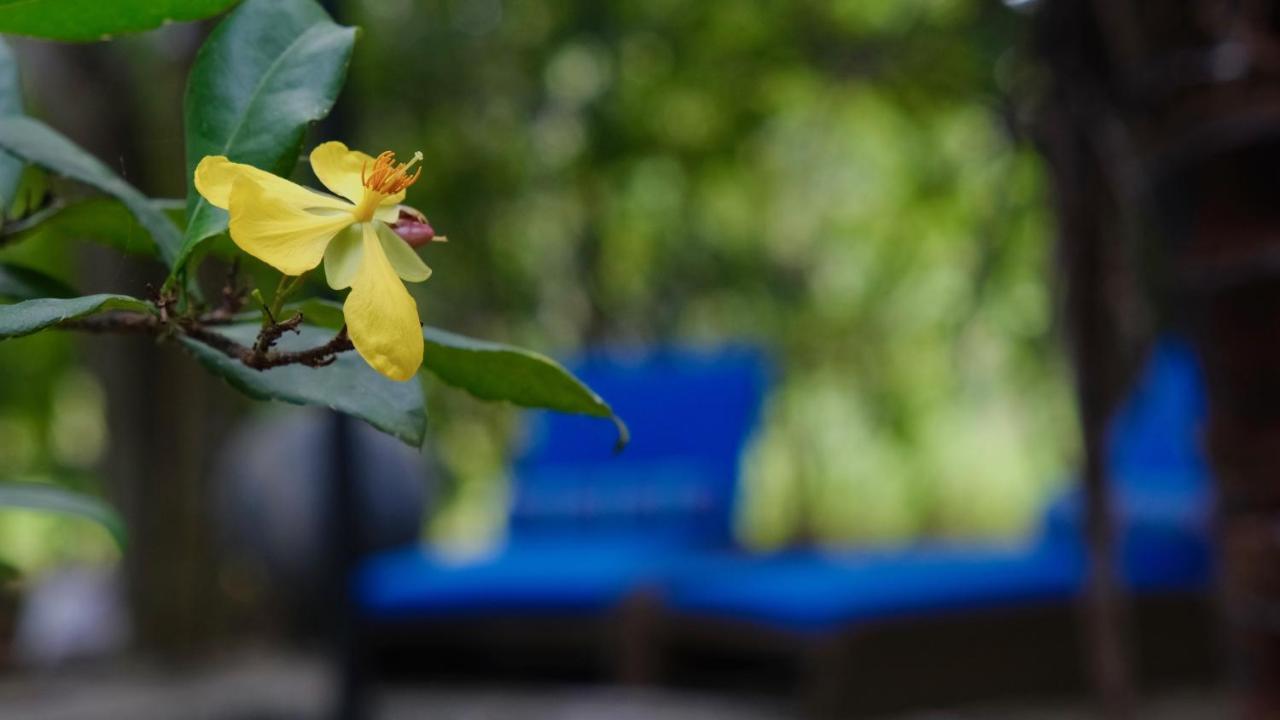 Mind Body And Soul Hotell Dambulla Exteriör bild