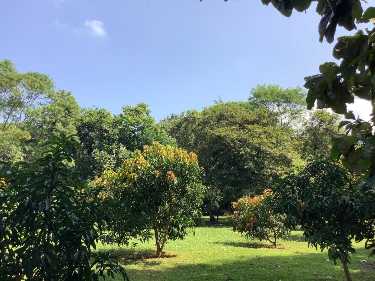 Mind Body And Soul Hotell Dambulla Exteriör bild
