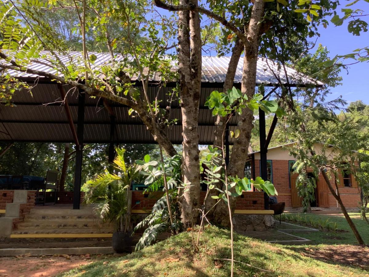 Mind Body And Soul Hotell Dambulla Exteriör bild