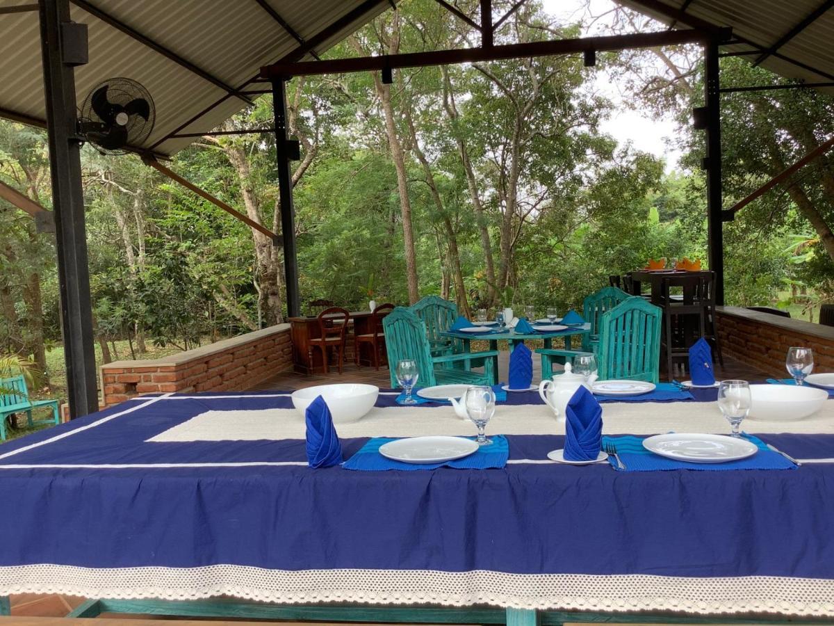 Mind Body And Soul Hotell Dambulla Exteriör bild