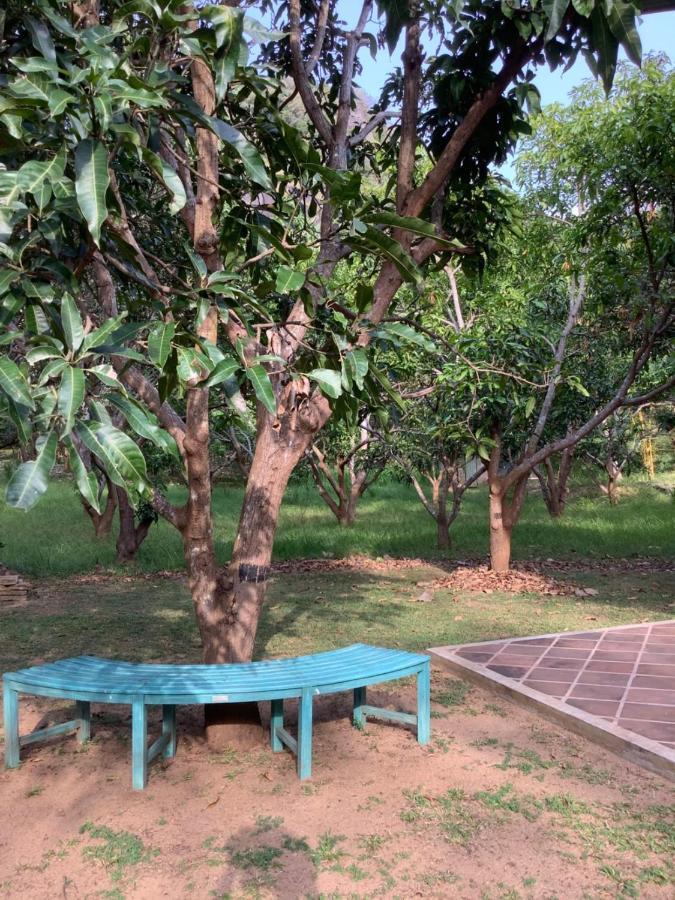 Mind Body And Soul Hotell Dambulla Exteriör bild